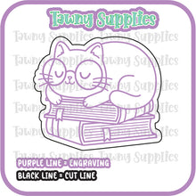 Load image into Gallery viewer, Funny Cats ED 2 Acrylic Blank
