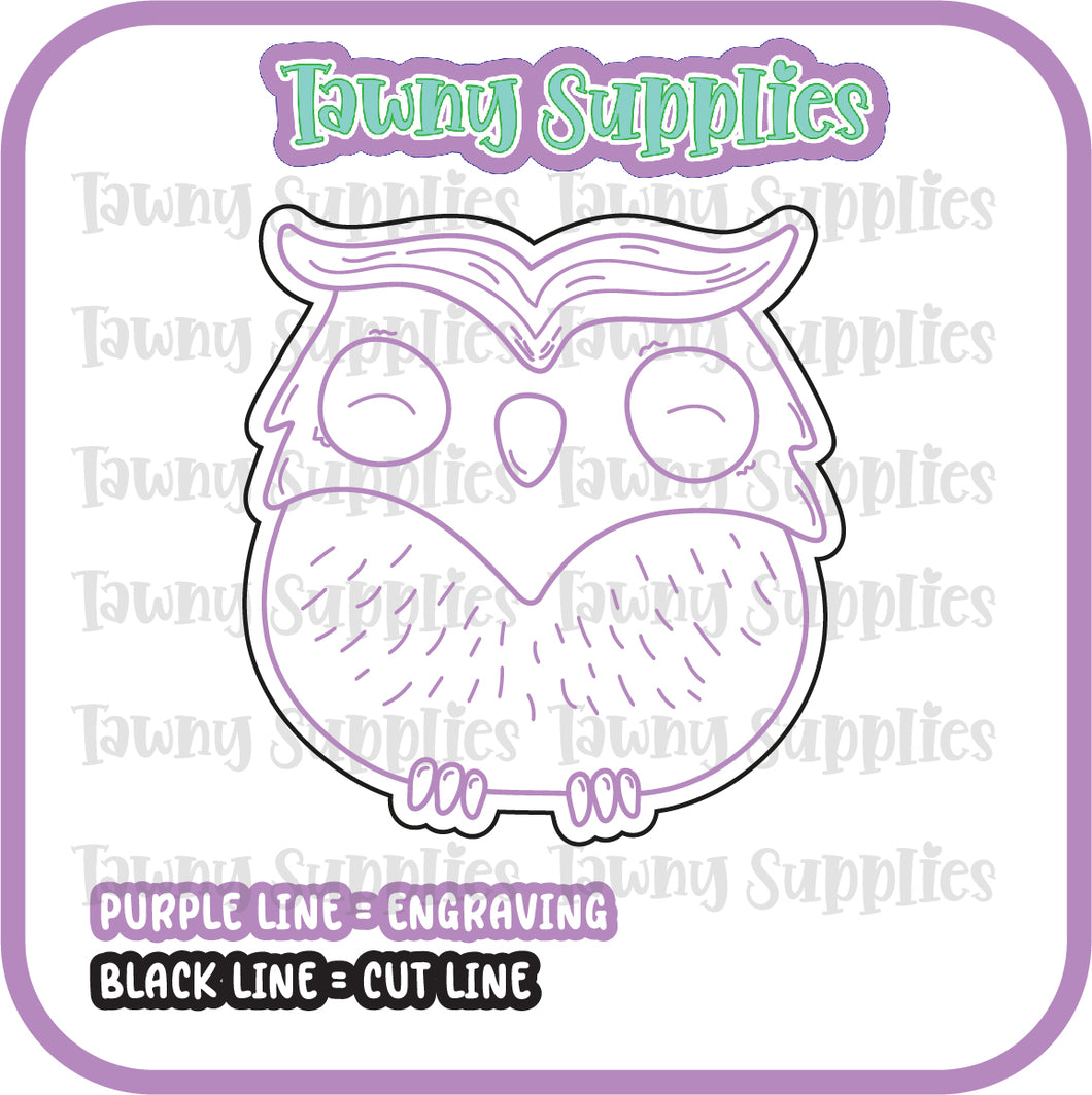 Sleeping Owl Acrylic Blank